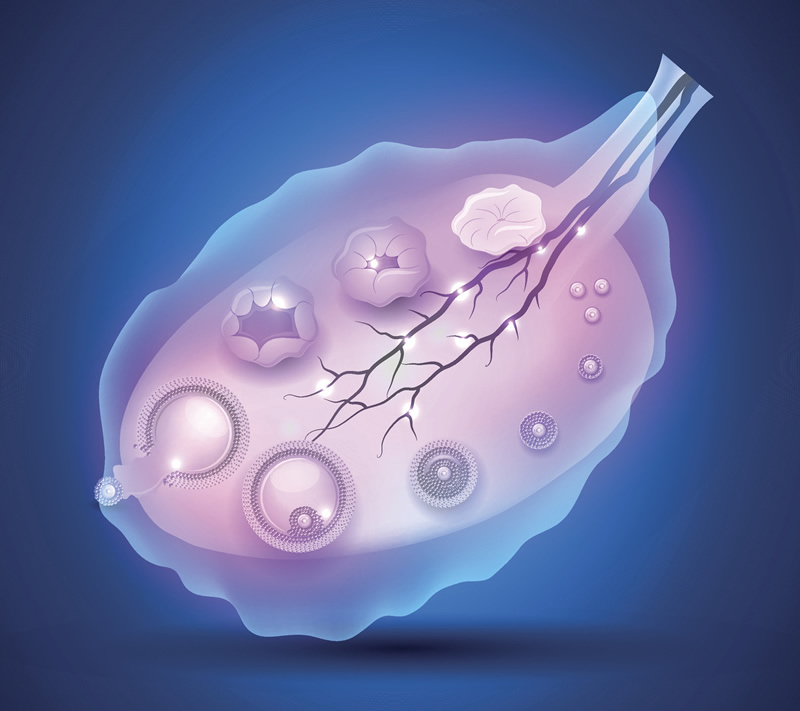 2026年度泉州试管助孕品牌机构大全,助孕技术更新进展盘点!